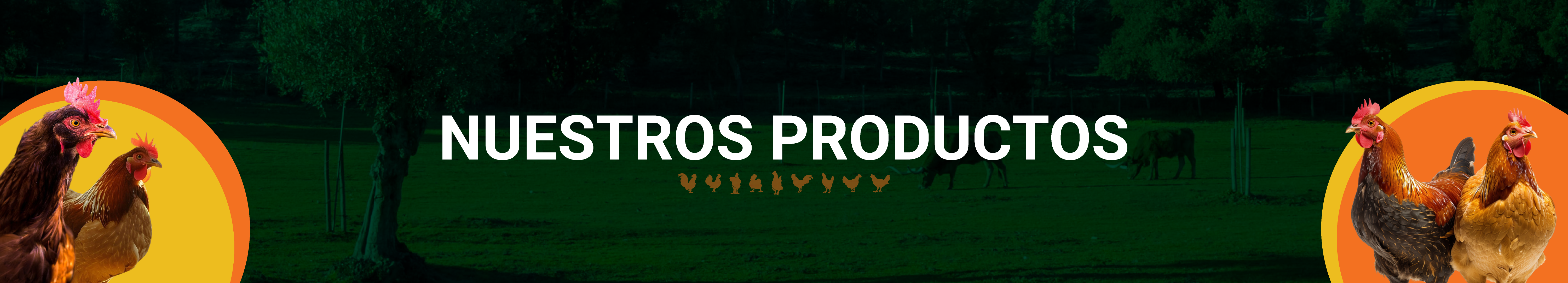 Banner de Productos